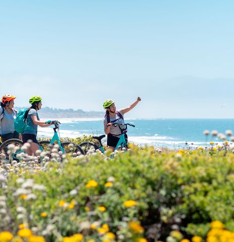 Radfahrergruppe am Meer fährt auf Küstenweg durch bunte Blumenwiese