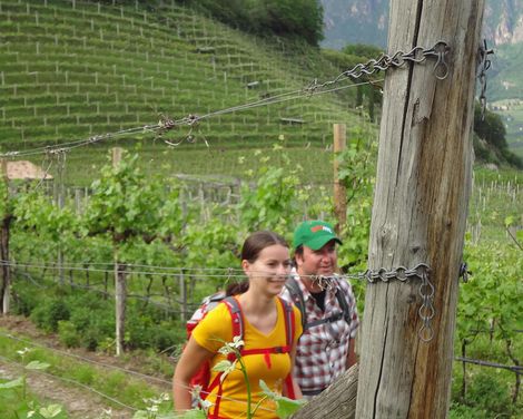 Wanderurlaub ab/bis Meran-0