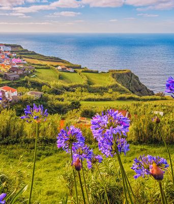 Landschaft auf den Azoren