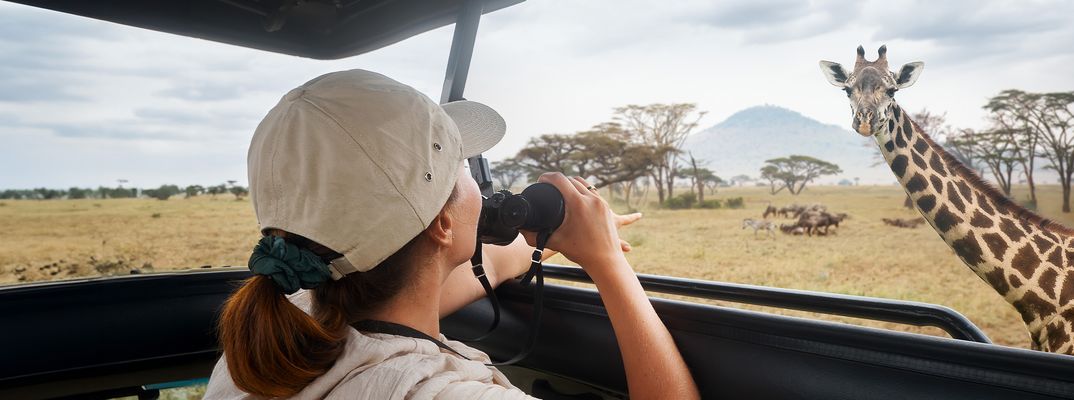 Frau sieht Giraffe auf Safari