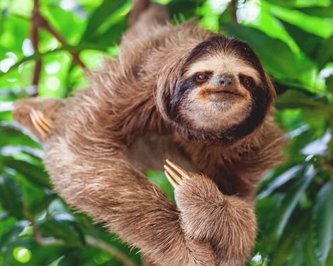 mit der VASCO DA GAMA von Hamburg bis Yokohama-1