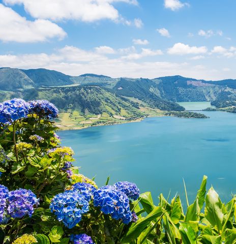Landschaft auf den Azoren