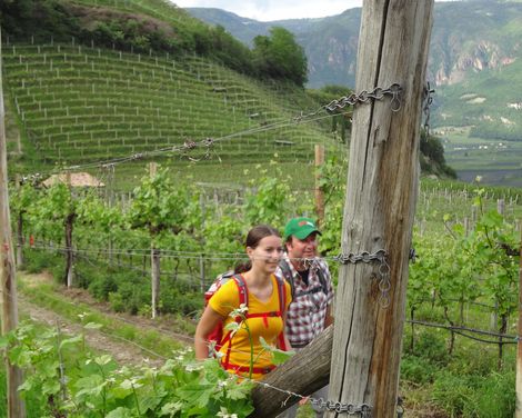 Wanderurlaub ab/bis Meran-0