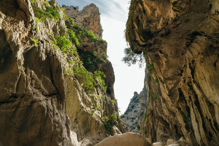 Schlucht Gola di Gorropu mit hohen Felswänden auf Sardinien