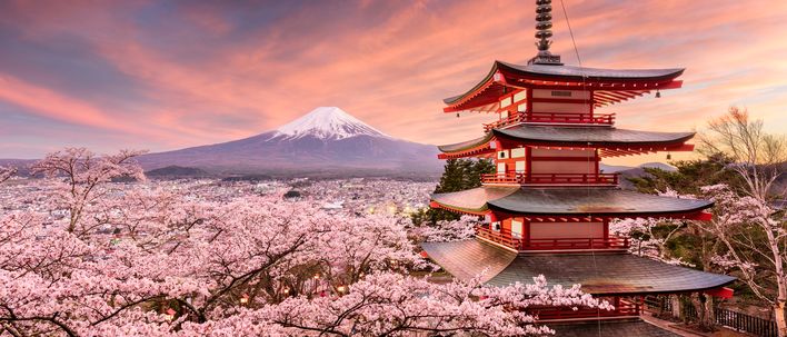 Kirschblüten mit Blick auf den Fuji und eine Pagode, Japan