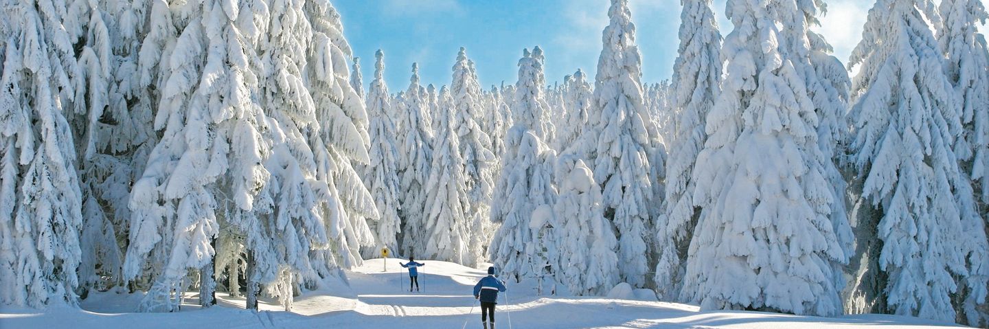 Skifahrer in einer Winterlandschaft