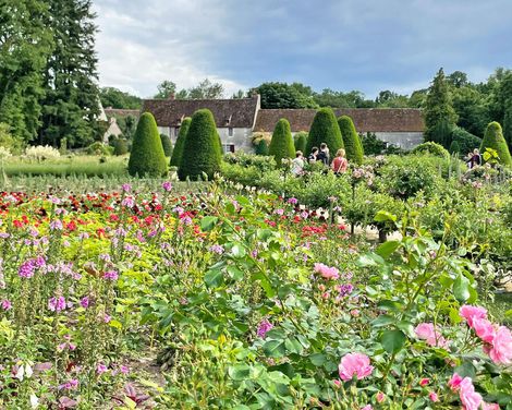 Radeln auf den Spuren von Königen & Märchen-1