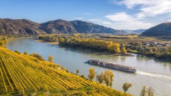 Flusskreuzfahrtschiff fährt entlang der Donau in Österreich mit Weinbergen am Ufer