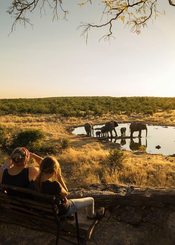 Menschen beobachten Elefanten am Wasserloch in Namibia