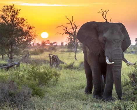 In kleiner Gruppe von wilden Safariwelten ins Inselparadies-0
