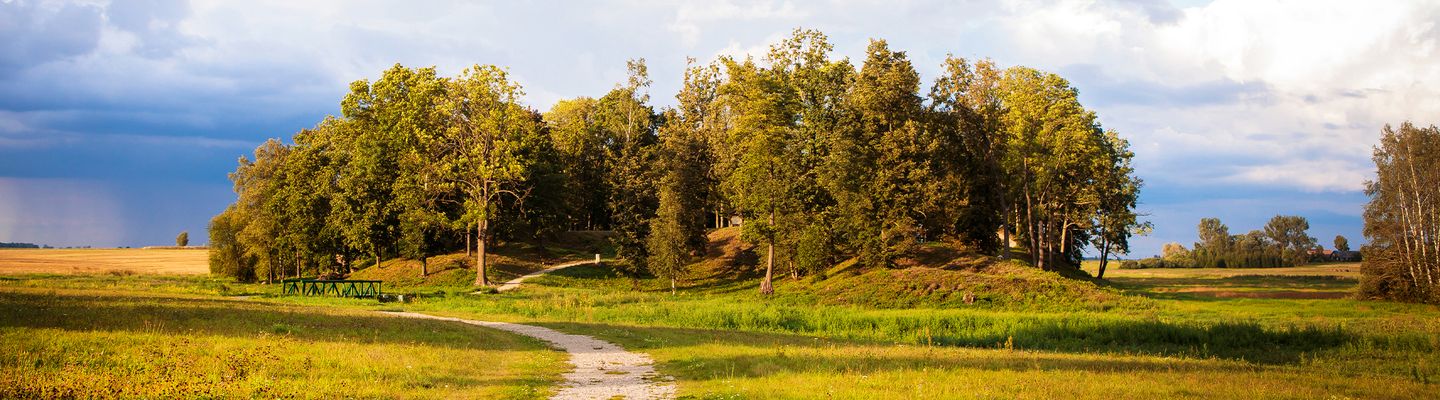 Ländliche Landschaft in der Region Panevėžys mit Feldern und Baumgruppen