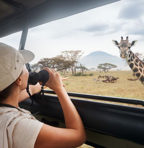 Frau erblickt Giraffe im Serengeti Nationalpark