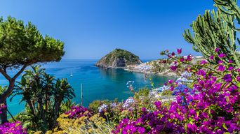 Blick auf die Küste von Ischia, umgeben von Blumen