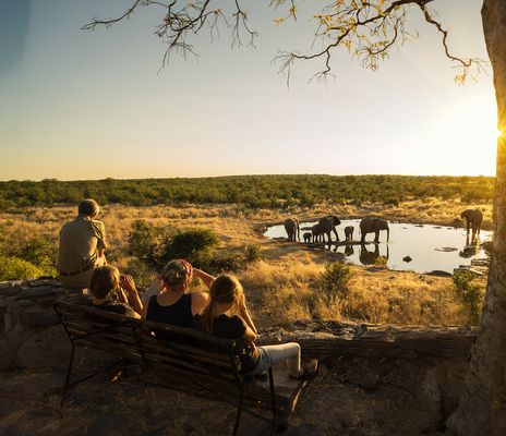 Safari im Etosha Nationalpark