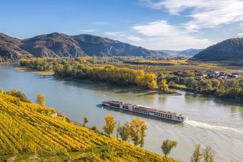 Flusskreuzfahrtschiff fährt entlang der Donau in Österreich mit Weinbergen am Ufer