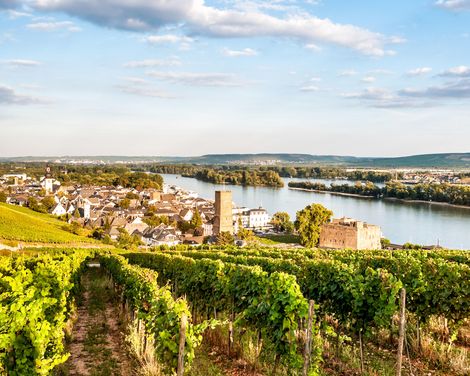 Historische Burgen, edle Weine, unvergessliche Aussichten-1