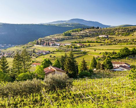 Genüsslich wandern durch Weinberge zum Gardasee-2
