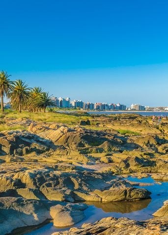 Küstenlandschaft bei Montevideo mit Felsen, Palmen und Blick auf den Río de la Plata