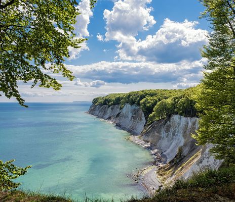 Kreidefelsen auf Rügen