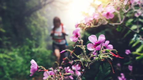 Wandern auf der Insel Madeira
