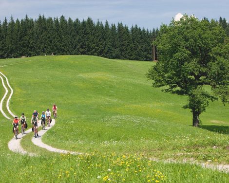 Radreise zwischen Bergen & Seen-3