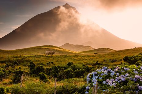 Vulkan auf der Insel Pico