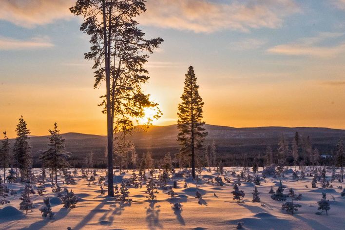Winterlandschaft in Lappland