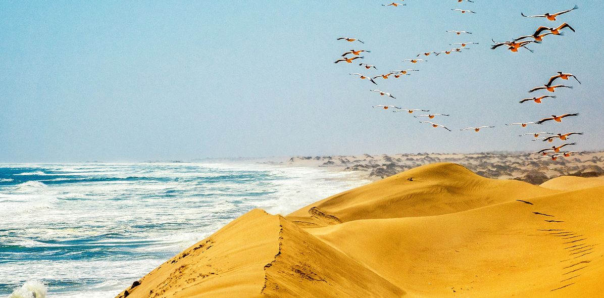 Bucht von Walvis Bay in Namibia