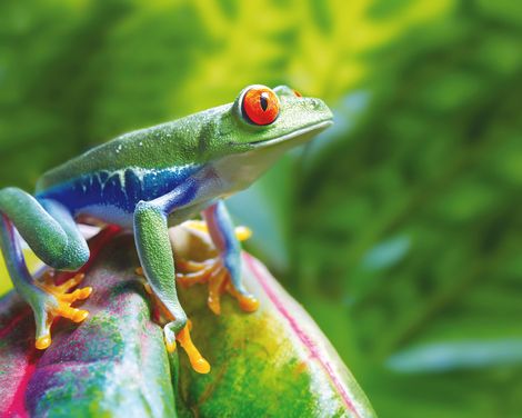 Grenzenlose Abenteuer in drei Ländern-3