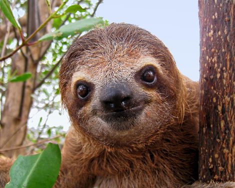 Dschungelabenteuer und entspannte Tage am Pazifik-0