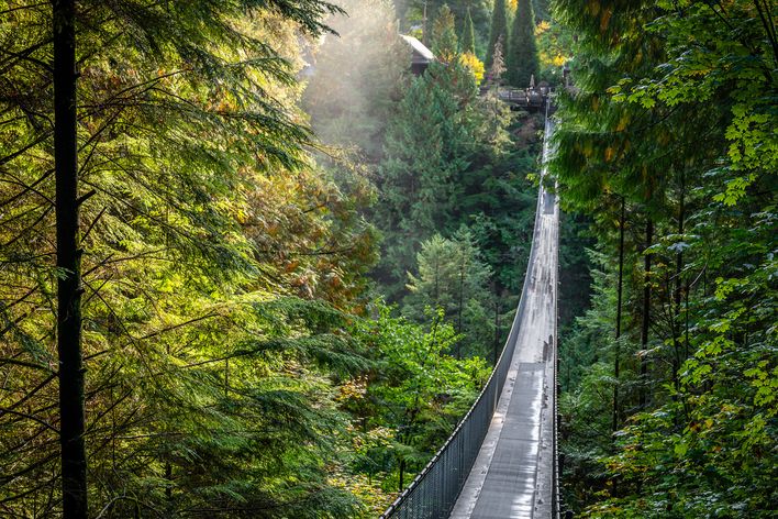 Capilano Suspension Bridge in Vancouver 