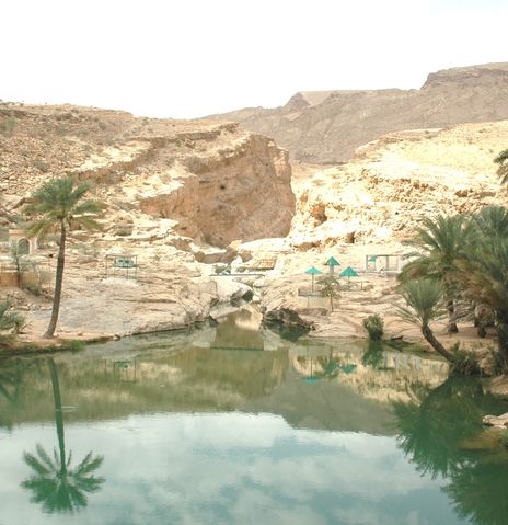 Wadi mit Palmen im Oman