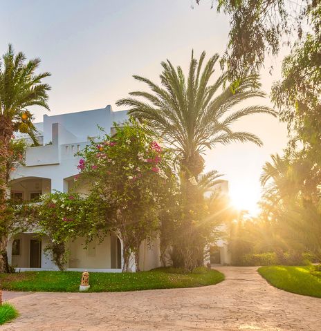Blick auf das Hotel Djerba Resort mit Sonnenaufgang im Hintergrund umsäumt von Palmen