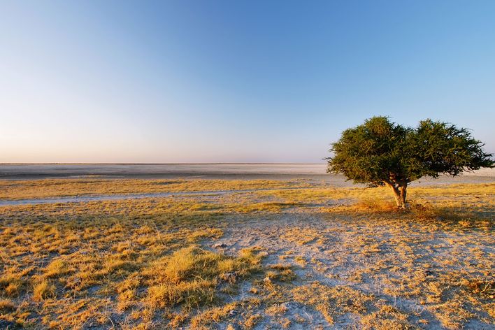 Makgadikgadi Salzpfannen in Botswana