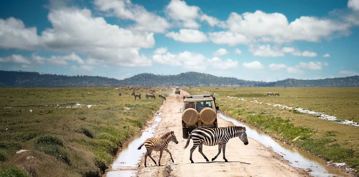 Safari in Tansania