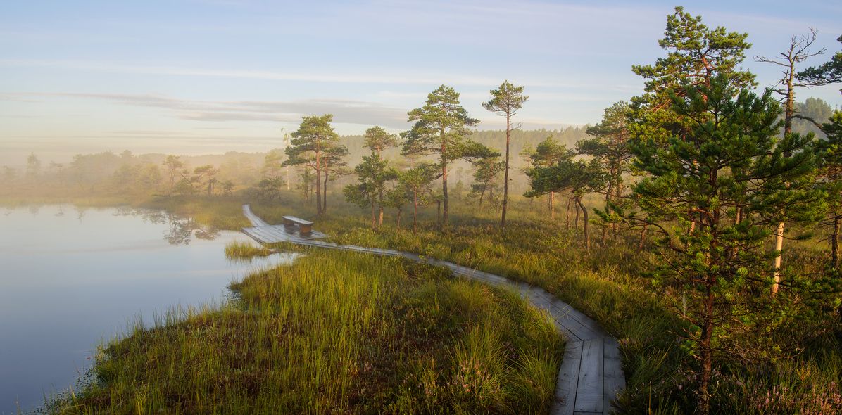 Sooma Nationalpark in Estland