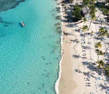 Blick auf türkisblauen Karibikstrand mit Palmen und weißem Sand