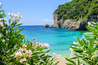 Strand und Blumen auf Korfu