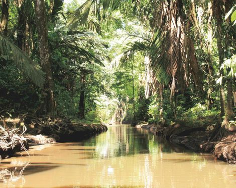 Hängebrücken, heiße Quellen & goldene Strände