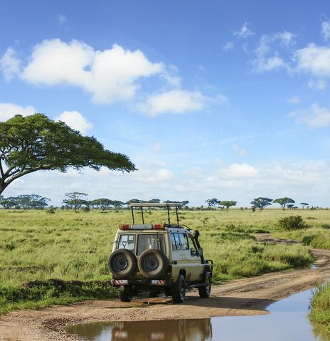 Safari-Geländewagen im Serengeti Nationalpark