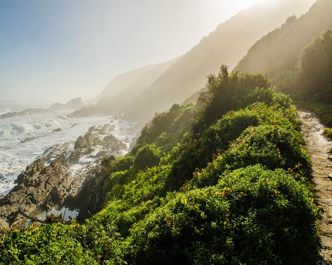 Kapstadt, Krügerpark und Viktoriafälle-2