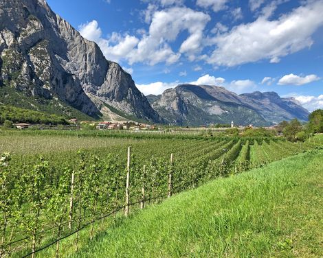 Radtour rund um den Gardasee-3