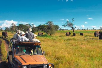 Safari im Geländewagen im Serengeti Nationalpark mit Elefanten