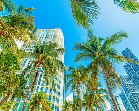 Kreuzfahrt mit der MSC Meraviglia von Barcelona bis Miami