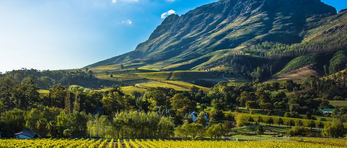 Weinregion Stellenbosch in Südafrika