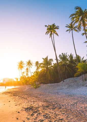 Sonnenuntergang an einem Palmenstrand in der Dominikanischen Republik mit weißem Sand und ruhigem Meer