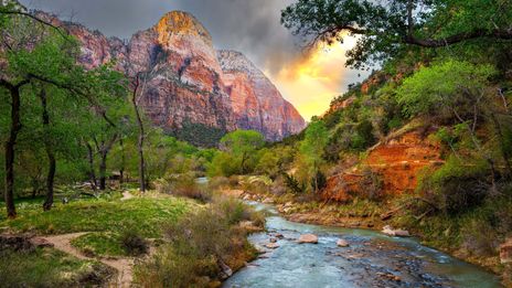 Ein Fluss schlängelt sich durch die Natur im Zion Nationalpark in Utah in den USA