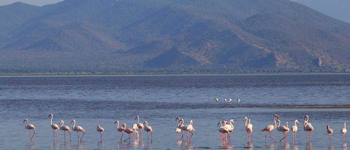 Manyara-See in Tansania