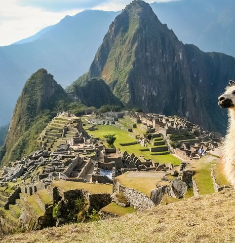 Blick auf Machu Picchu mit Lama