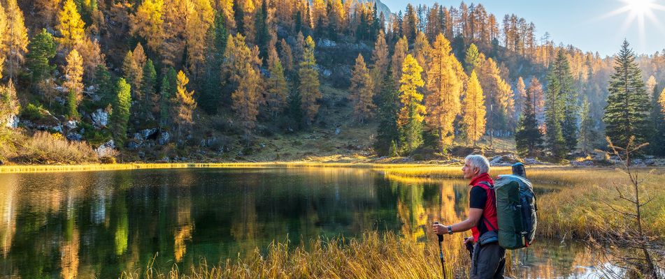 Ein Wanderer steht vor einem See in einem Wald in Bayern